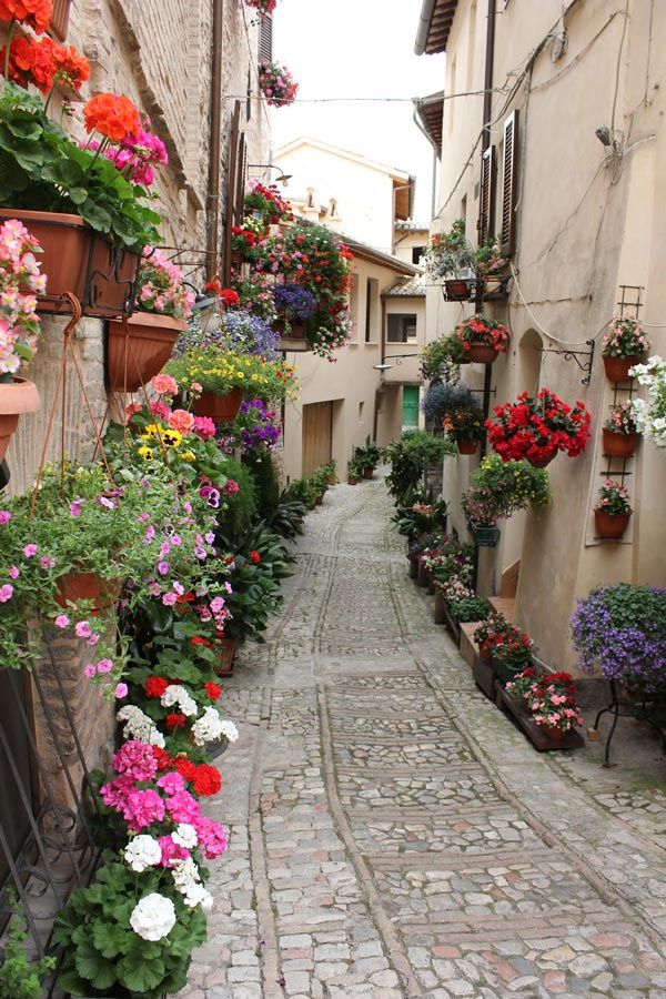 Spello, Perugia, Italy